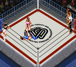 Super Fire Pro Wrestling - Queen's Special